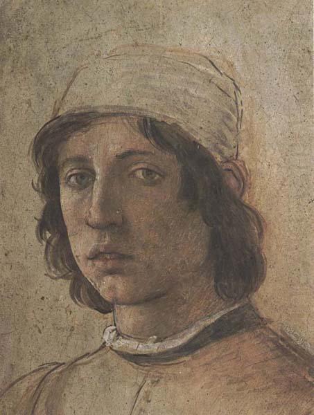Filippino Lippi Self-Portrait china oil painting image